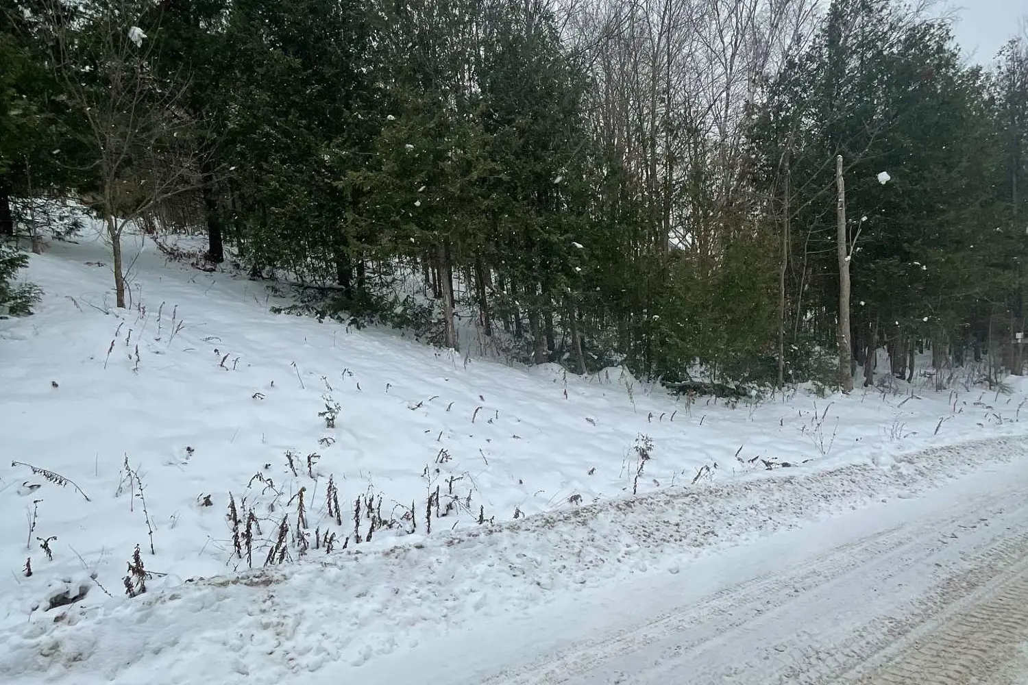 Ptlt 37 Trent View Drive