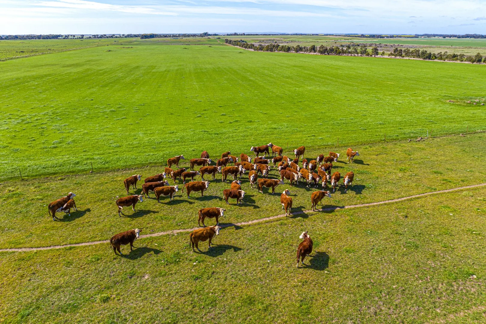 Additional image 16 of 1019 Wingeel Road, Wingeel VIC 3321