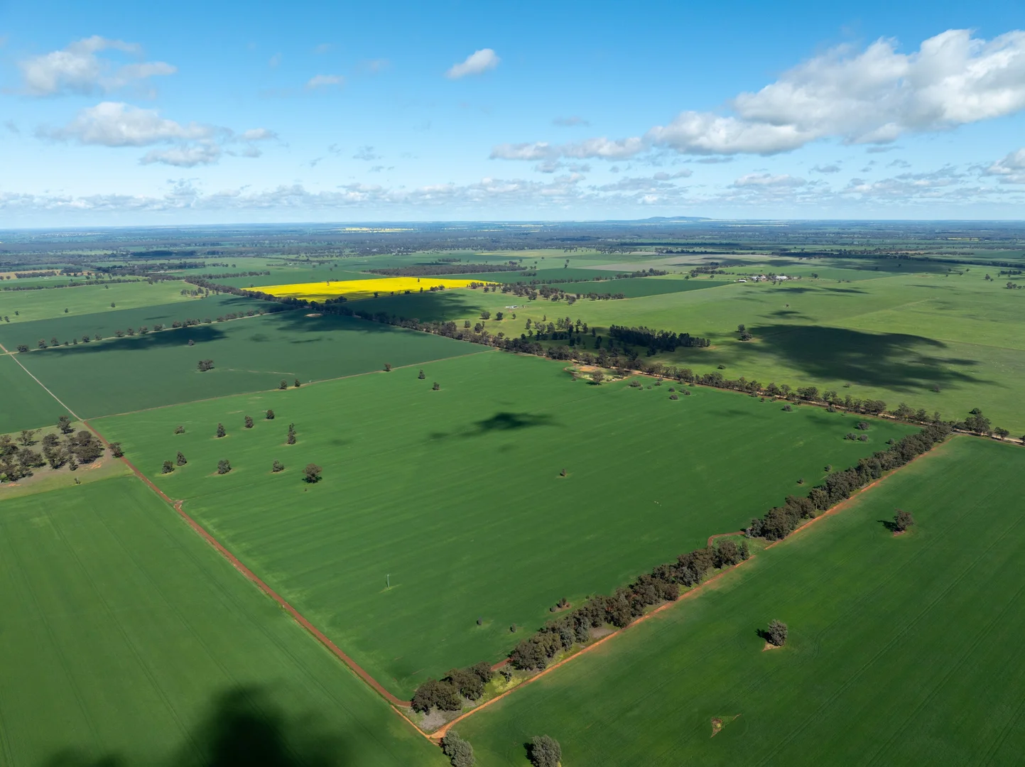 Additional image 11 of 532 Cottee Road, Currawarna NSW 2650