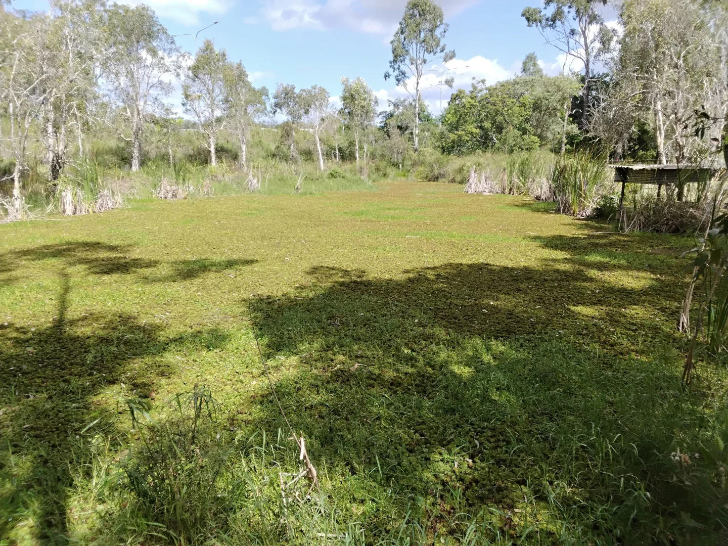 Additional image 22 of 25 Findling Road, Boyne Island QLD 4680