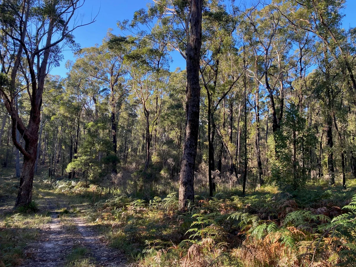 Additional image 4 of 210 Lens Road, Toorloo Arm VIC 3909