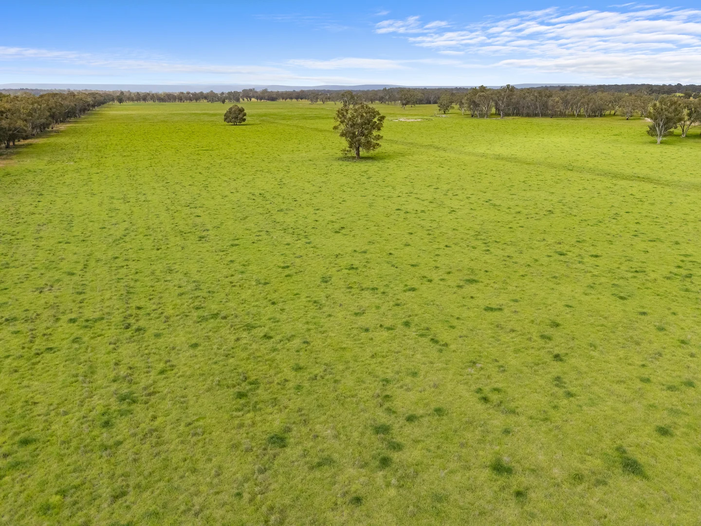 Additional image 6 of Lot 2 & Lot 1, PS 72 Basin Road, Tarnook VIC 3670
