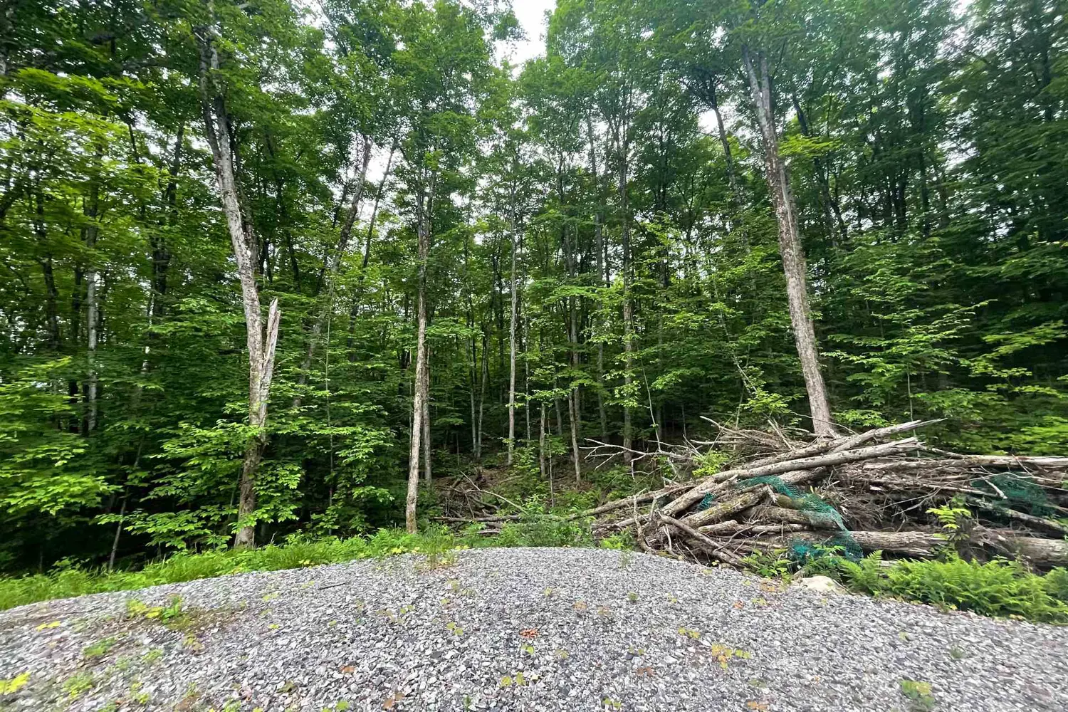 Additional image 12 of Lot 29 Bay Lake Road