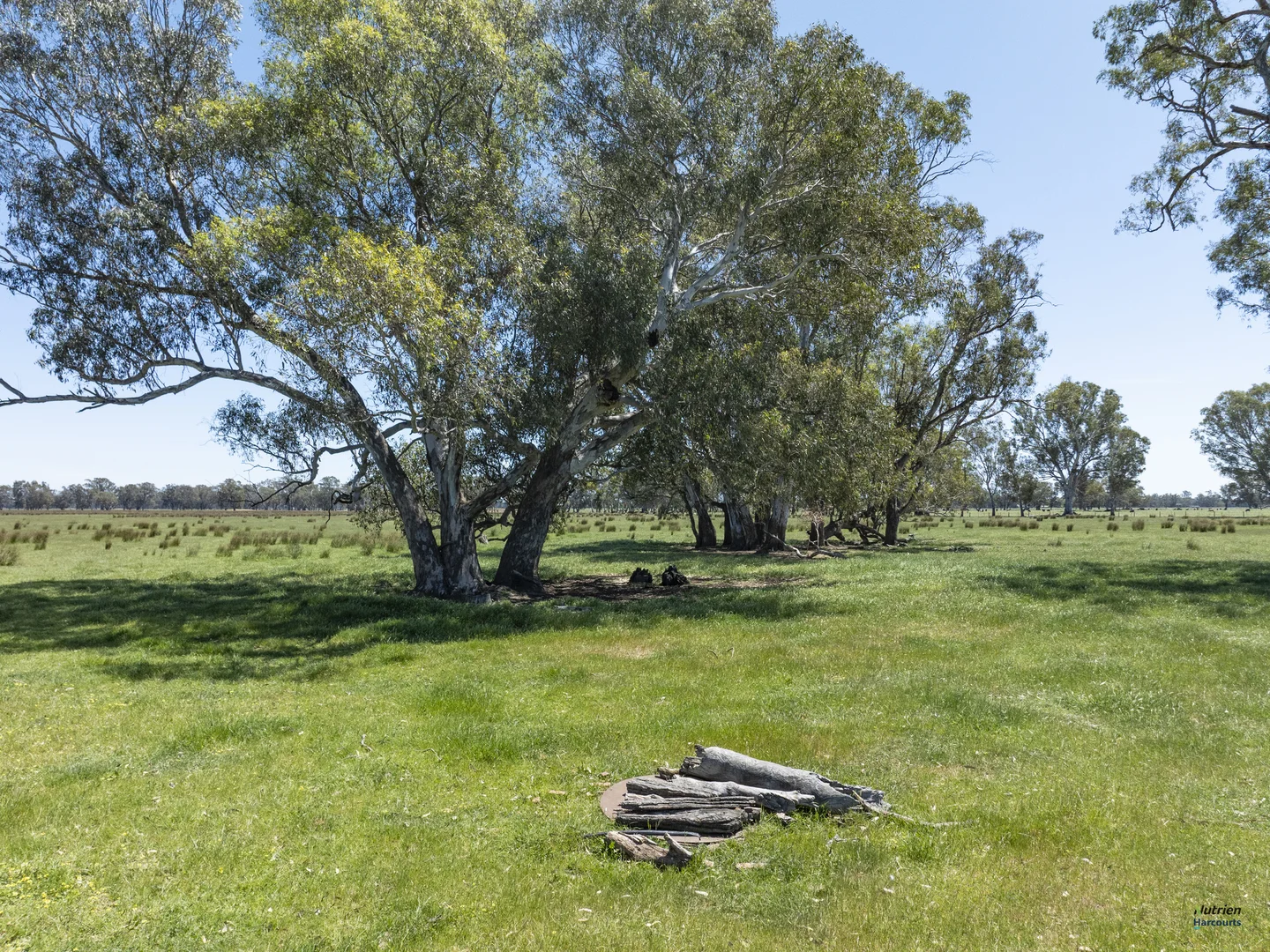 Additional image 19 of 12 Knight Road, Benalla VIC 3672