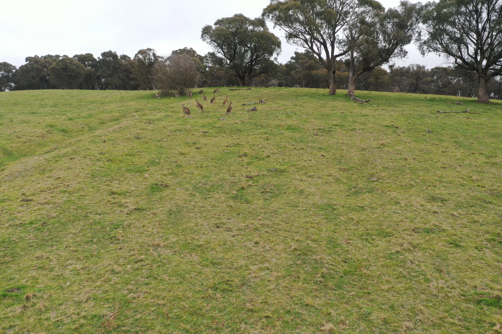 Additional image 3 of 25 Iron Mine Road, Crookwell NSW 2583