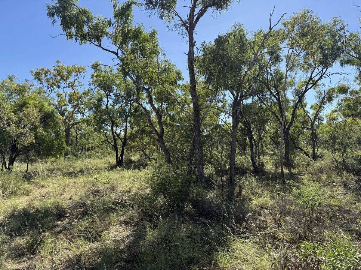 Additional image 34 of 17 Voss Street, Prairie QLD 4821