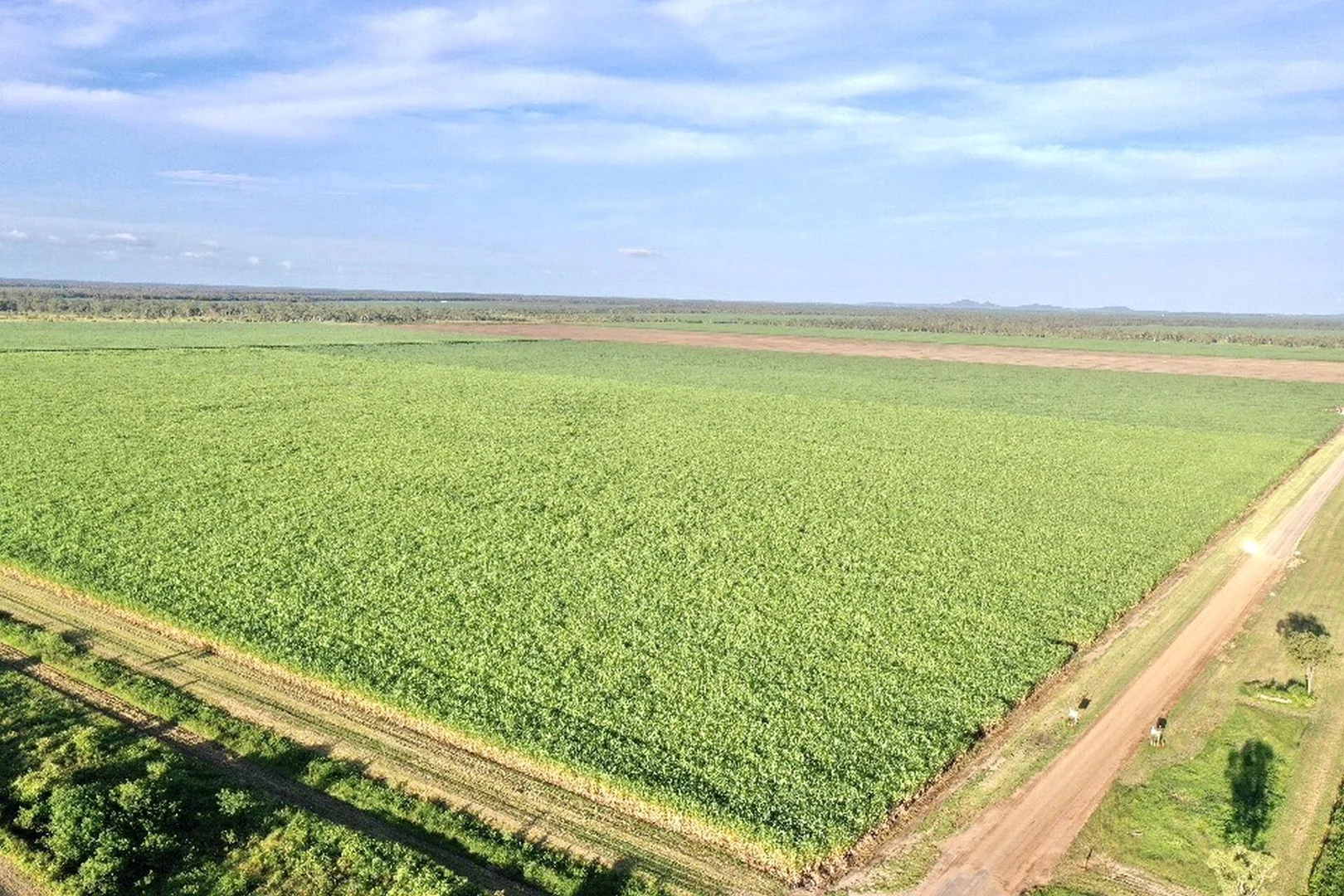 Additional image 6 of 43 Keith Venables Road, Upper Haughton QLD 4809