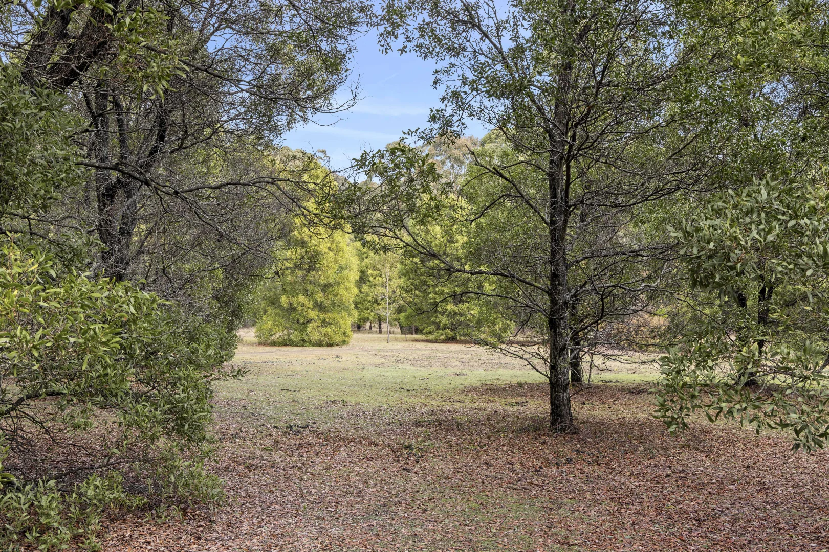Additional image 7 of 6 Mullens Road, Trentham VIC 3458