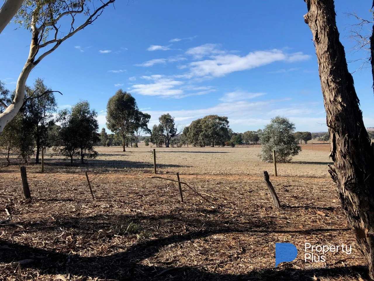 Additional image 4 of 1 Bendigo-Maryborough Road, Shelbourne VIC 3515