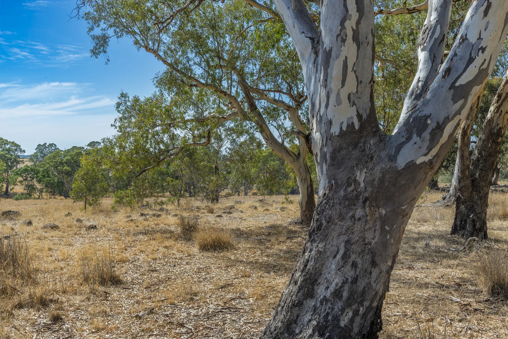 Additional image 15 of 200 Campbells Road, Redesdale VIC 3444