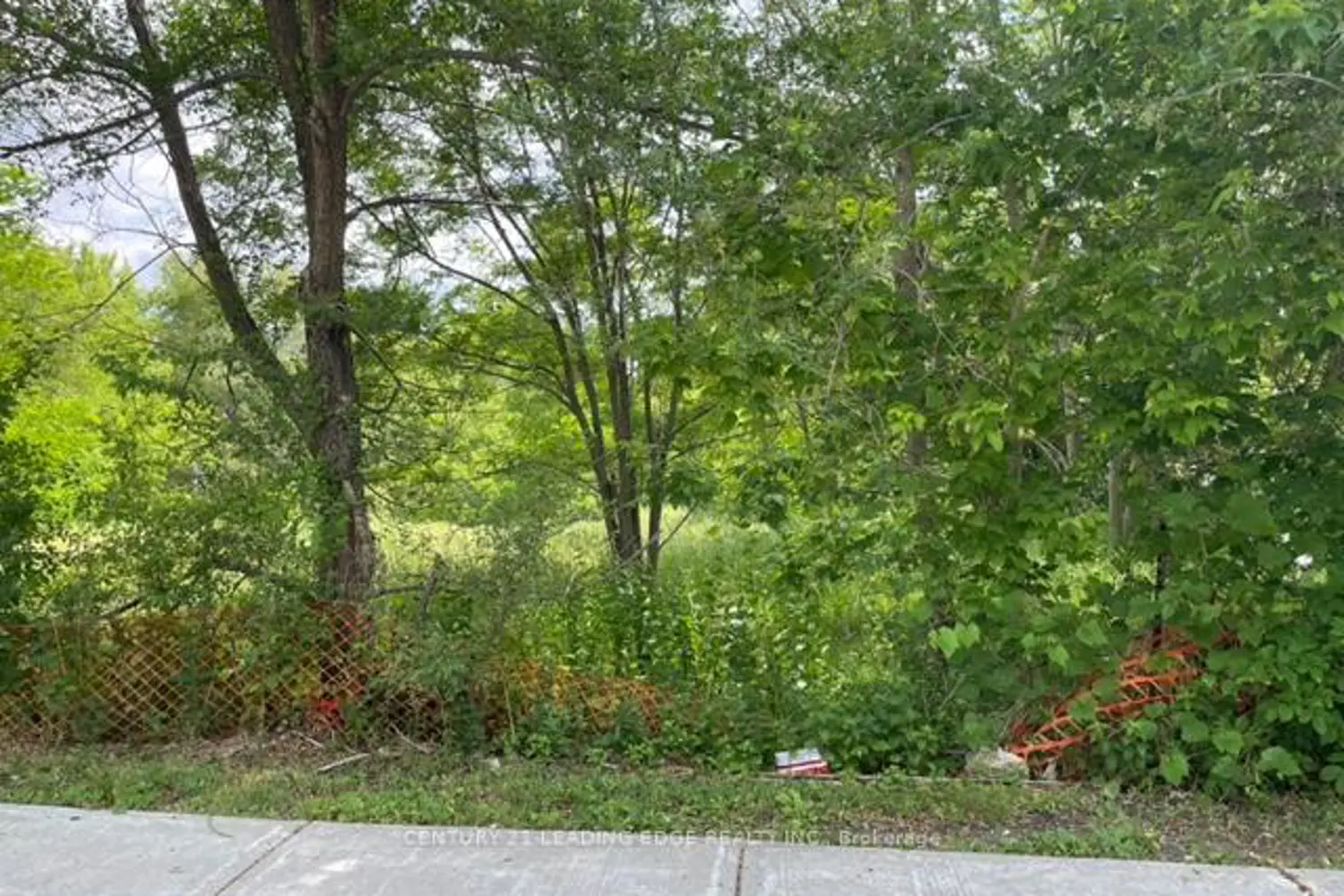 Additional image 9 of 49 Main St. South