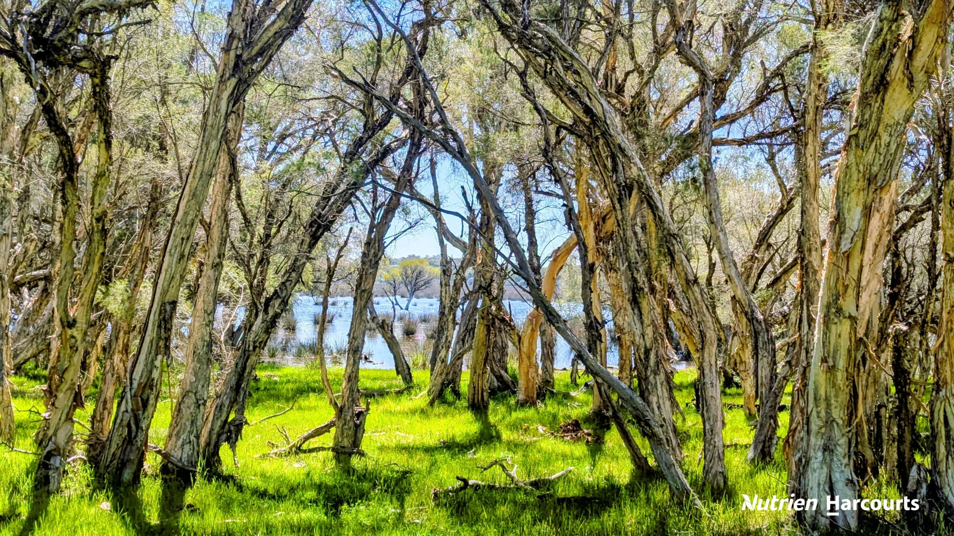 Additional image 10 of Lot 52 Cowalla Road, Cowalla WA 6503