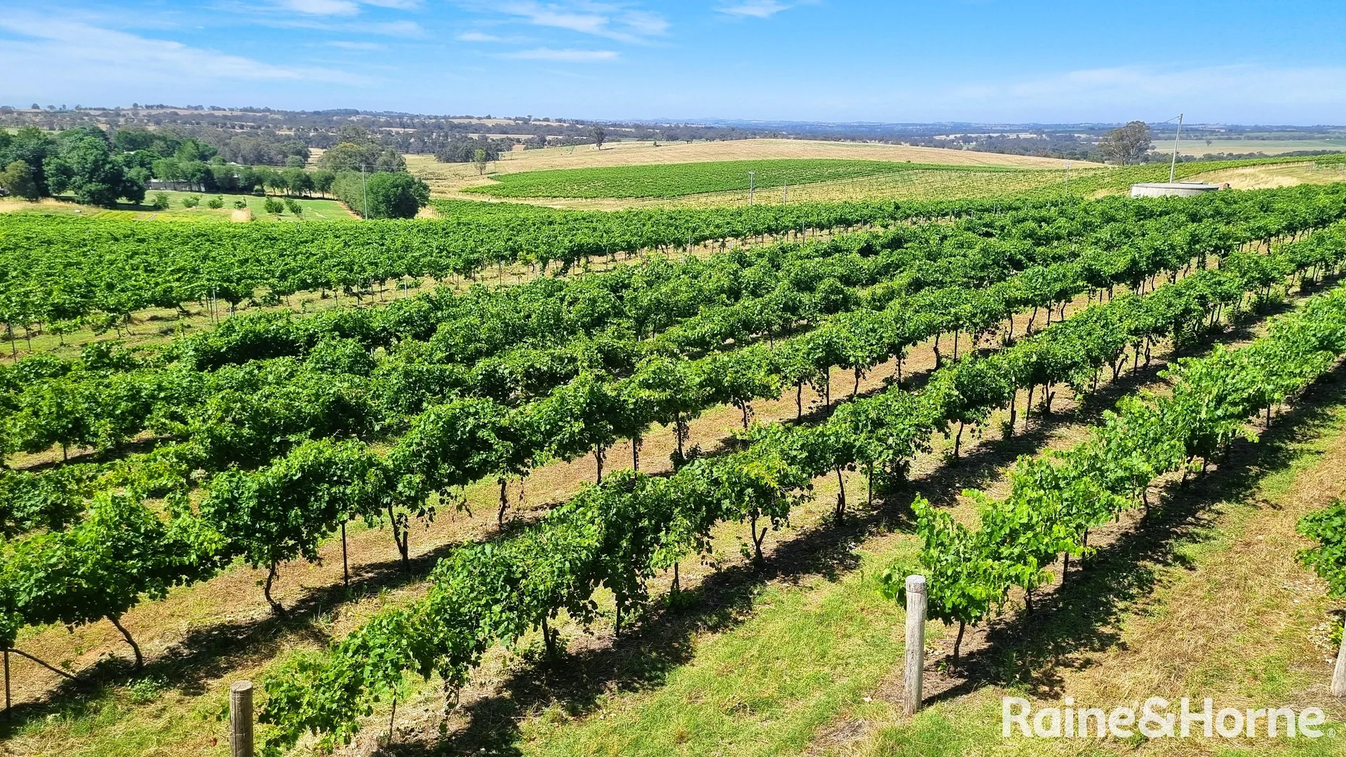 Additional image 4 of Kingsvale NSW 2587