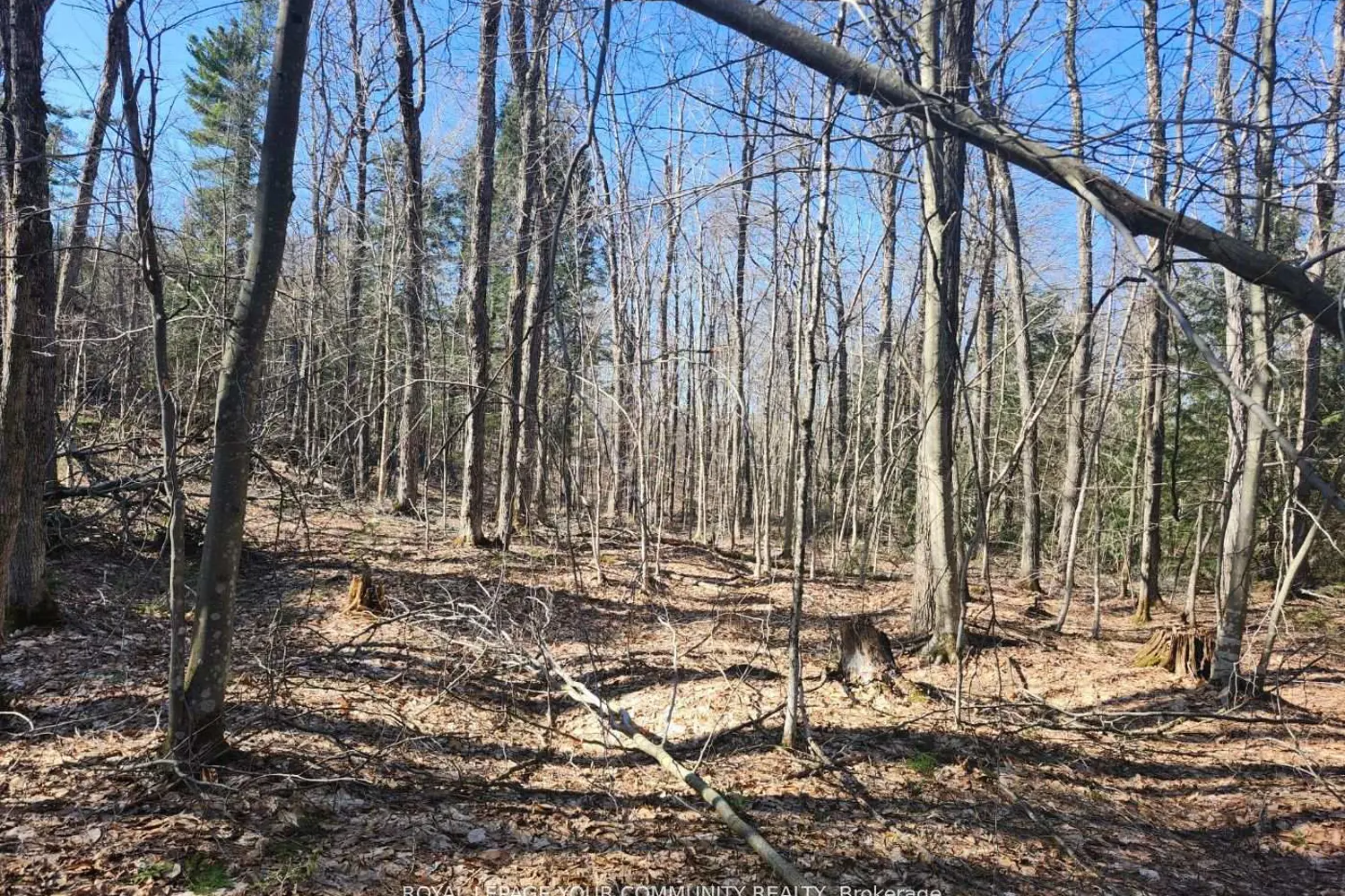 Additional image 6 of 1282 Highway 118 Road