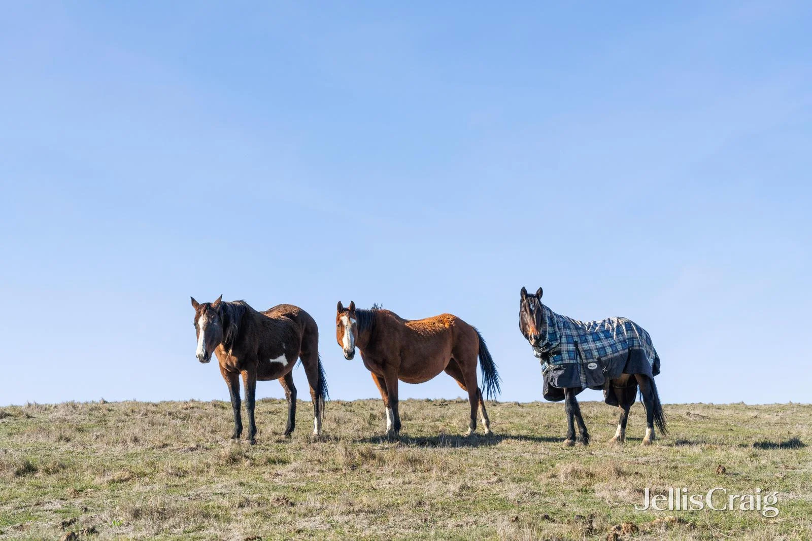 Additional image 17 of 396 Sullivans Road, Millbrook VIC 3352