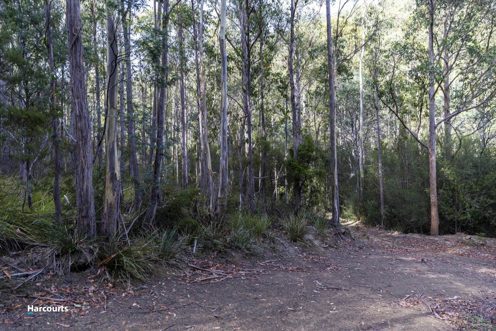 Additional image 14 of RA Basin Road, Grove TAS 7109