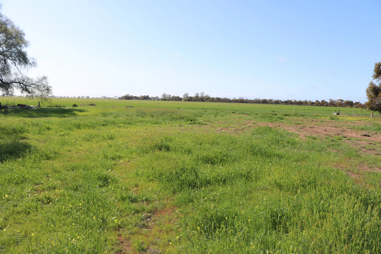 Additional image 2 of 24 North Road, Nullawil VIC 3529