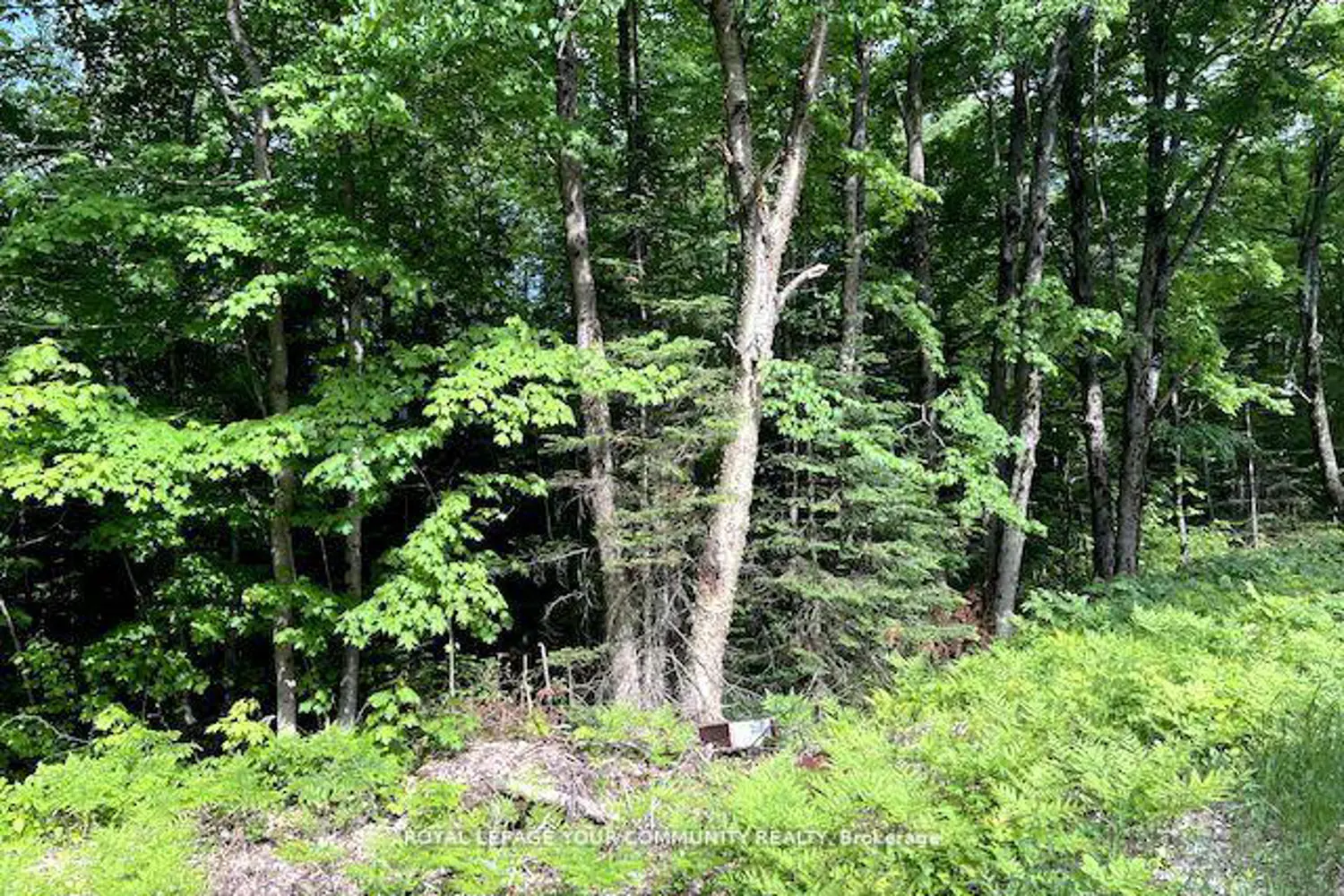 Additional image 11 of N/A Uffington Road