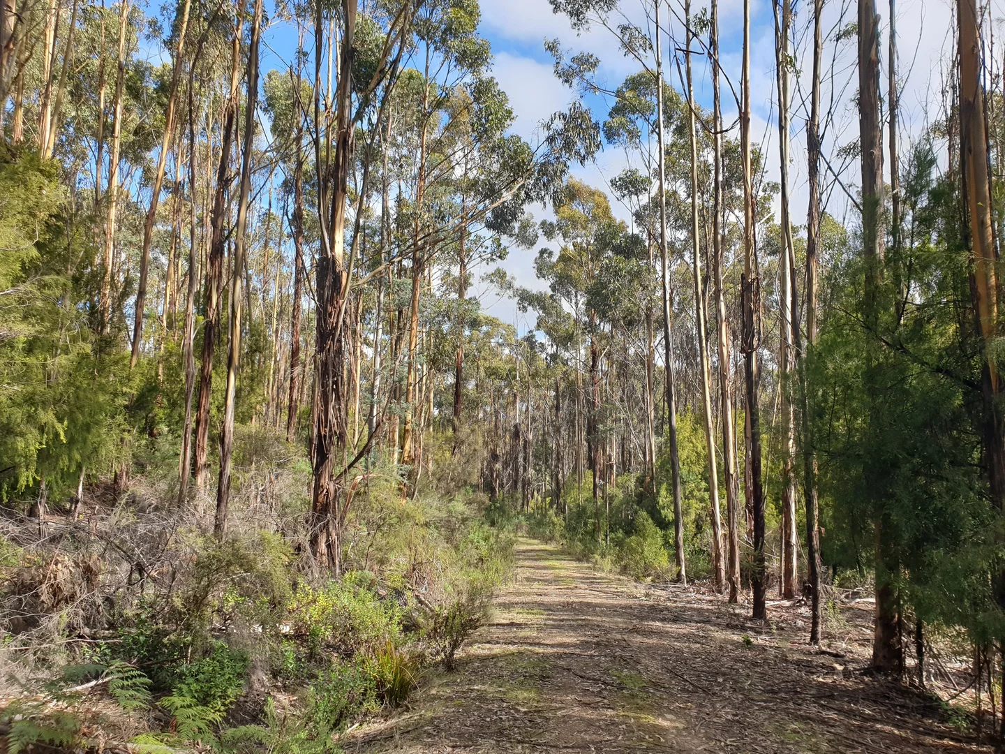 Additional image 10 of Lot 2 Huon Highway, Dover TAS 7117