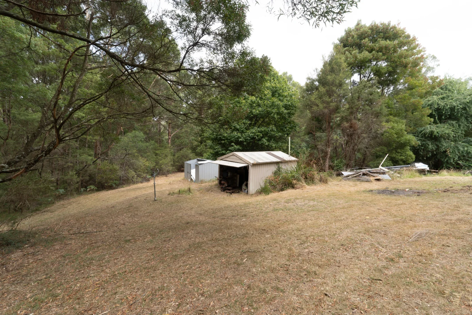 Additional image 5 of 189 Gellibrand River Road, Gellibrand Lower VIC 3237