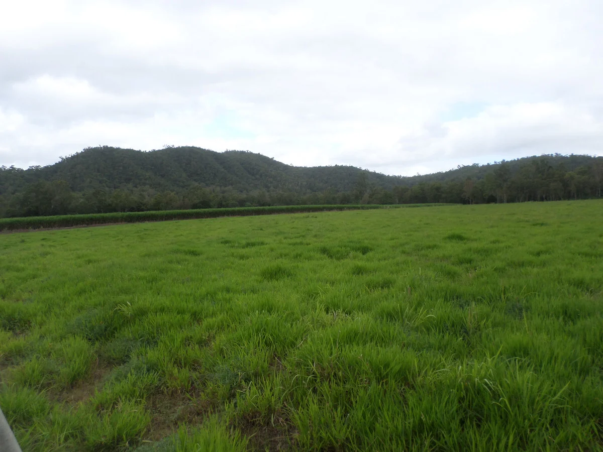 Additional image 2 of 109 Neilsen Omands Road, Septimus QLD 4754