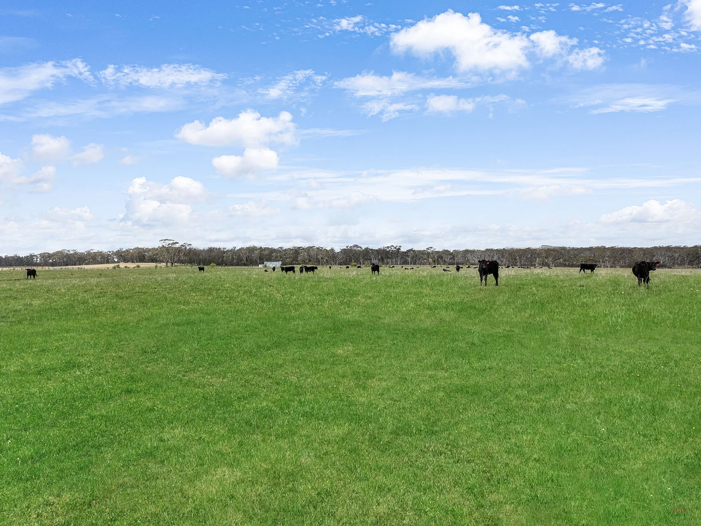 Additional image 14 of 60 Wanganderry Road, High Range NSW 2575