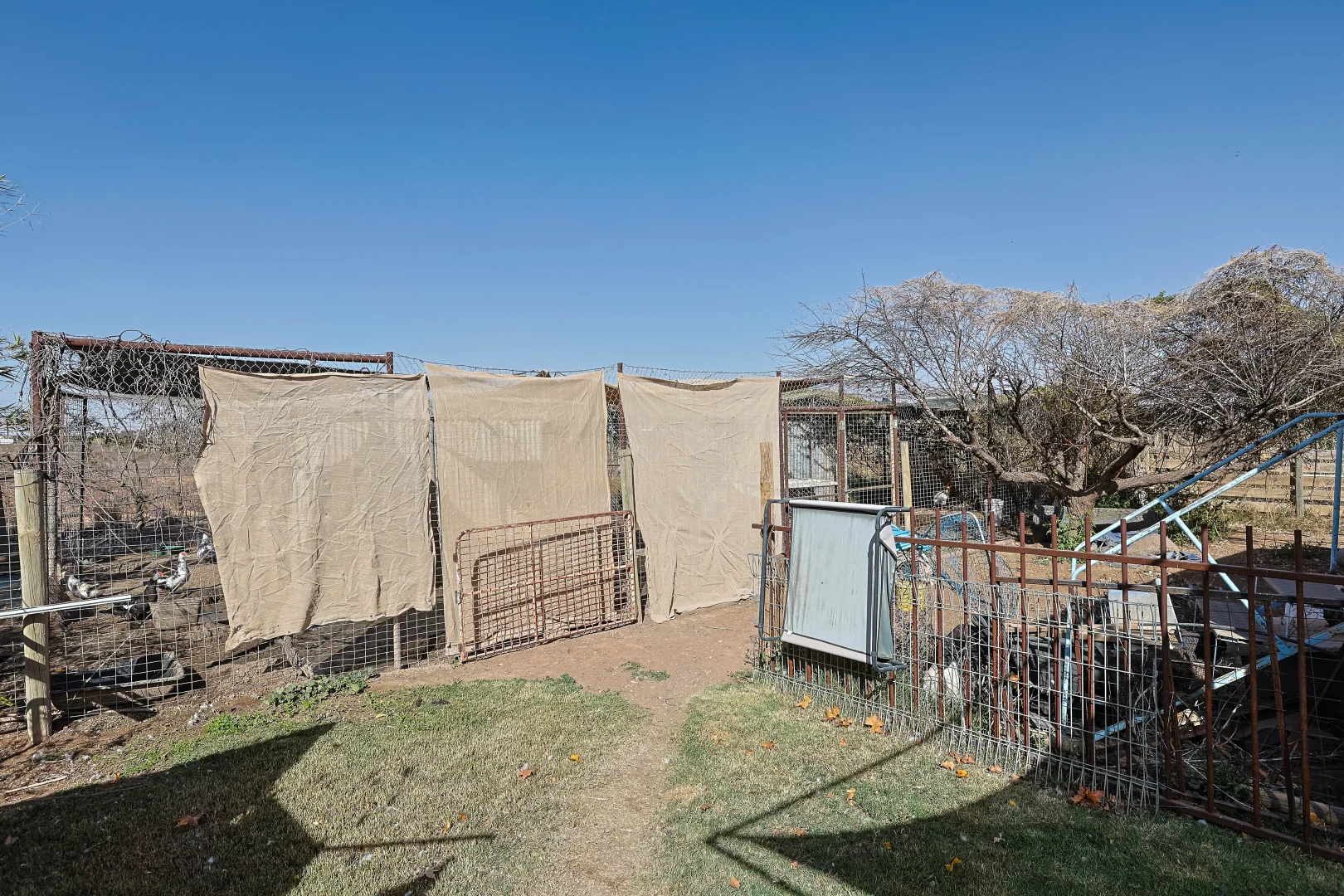 Additional image 16 of 636 Walnut Avenue, Mildura VIC 3500