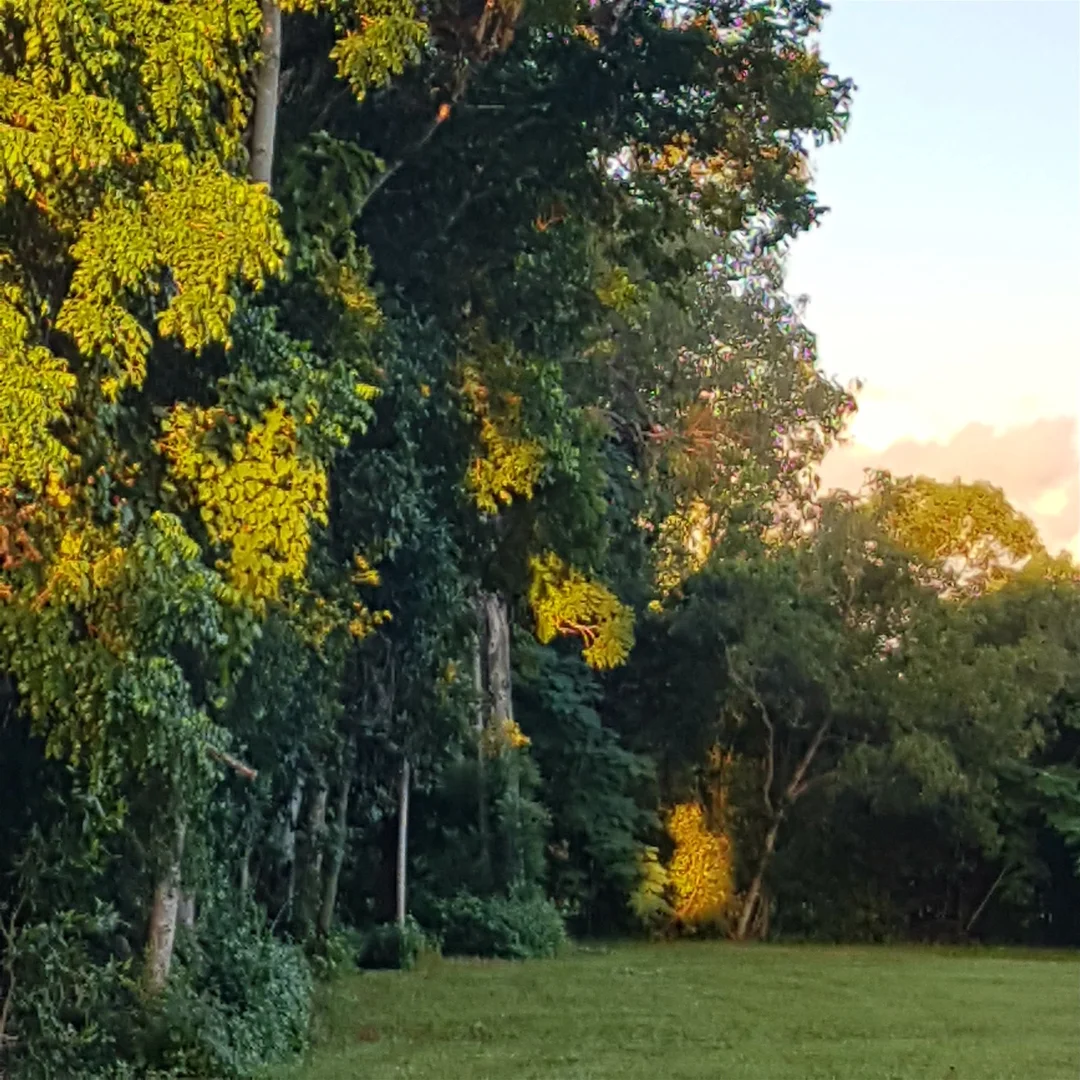 Additional image 2 of 29 Railway Avenue, Cooktown QLD 4895