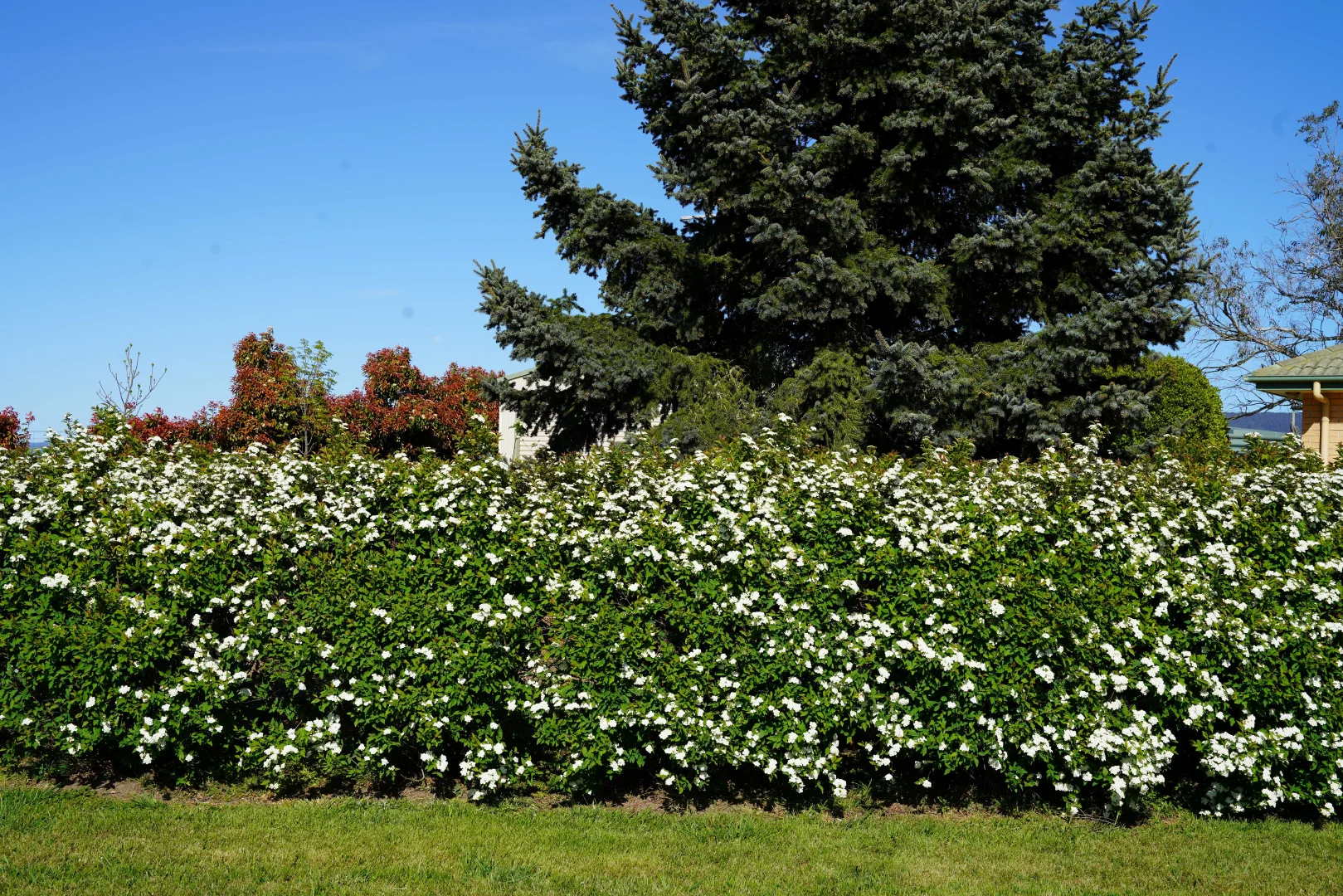 Additional image 32 of 536 Cooma Road, Braidwood NSW 2622