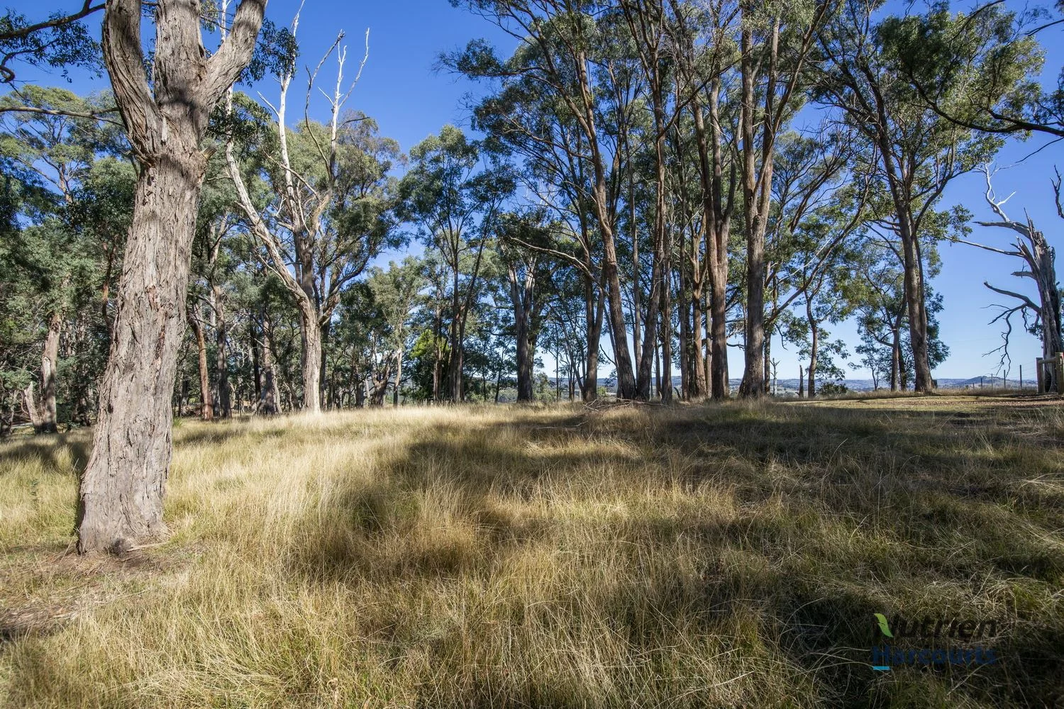 Additional image 4 of Yea VIC 3717