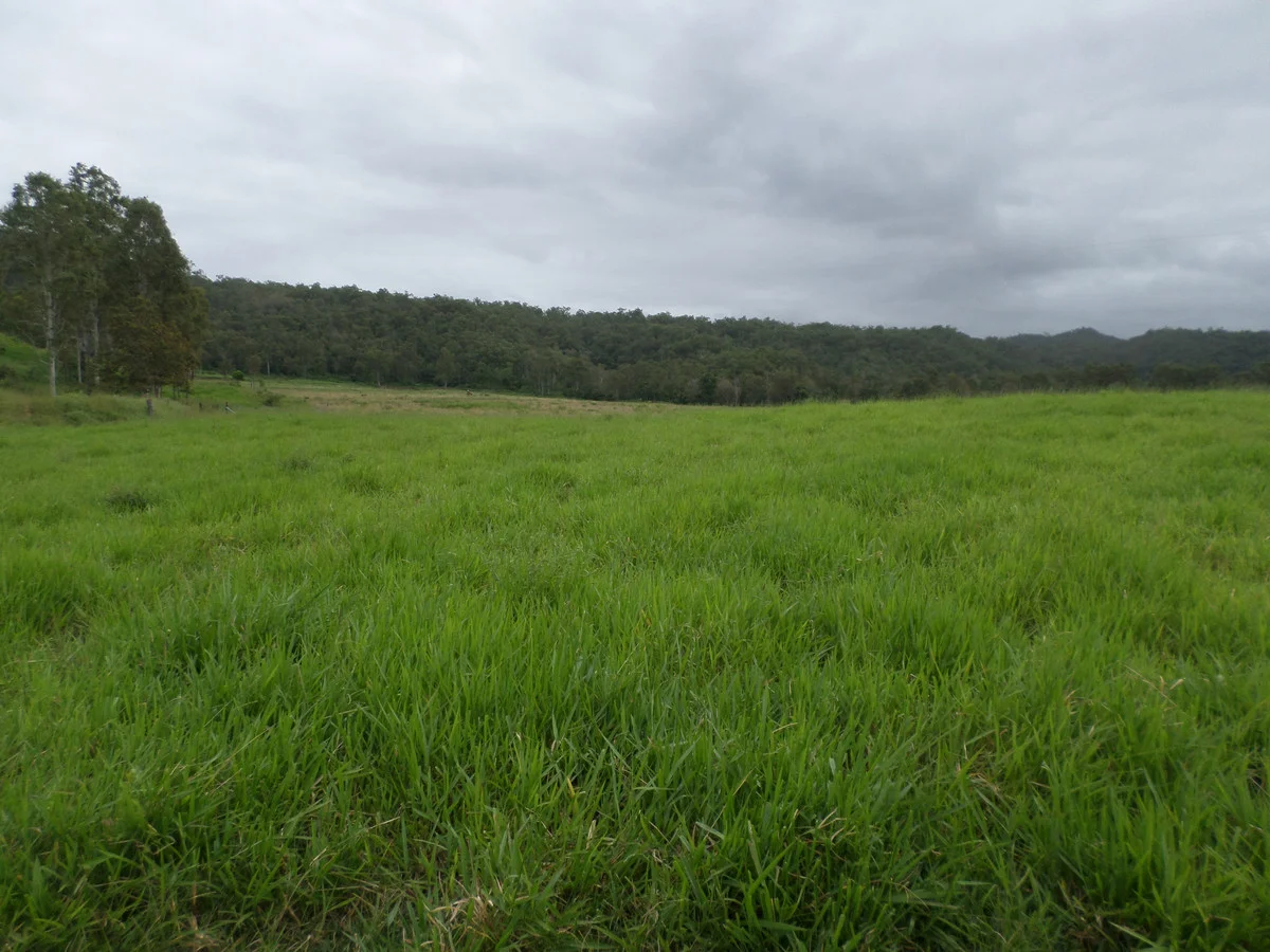 Additional image 8 of 109 Neilsen Omands Road, Septimus QLD 4754