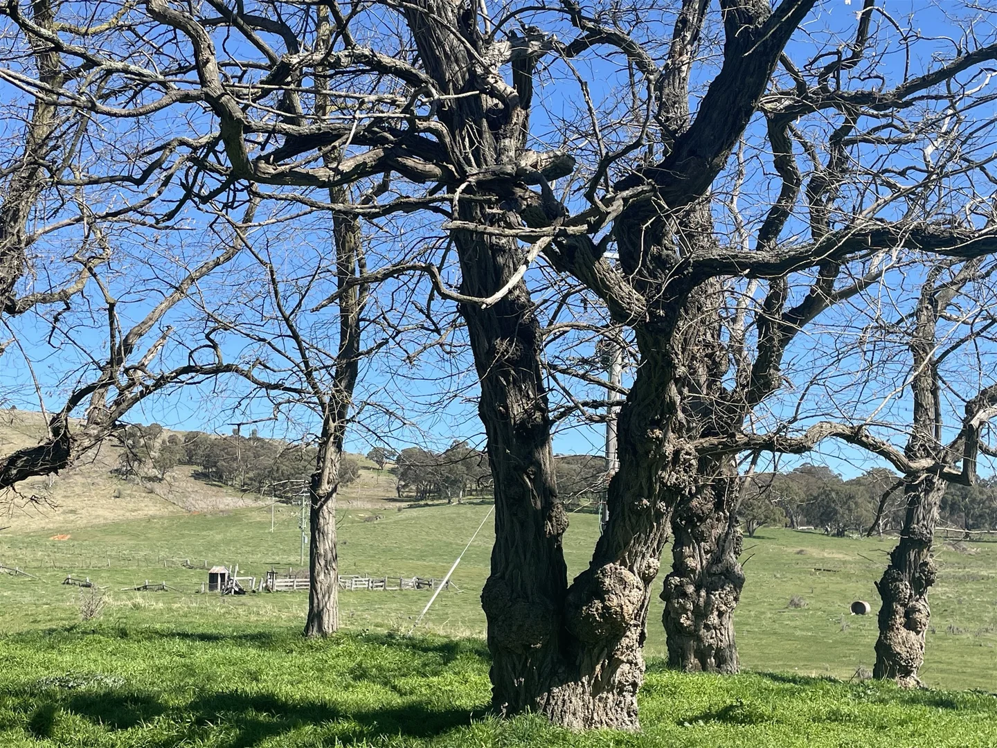 Additional image 37 of 33 Prices Lane, Blayney NSW 2799