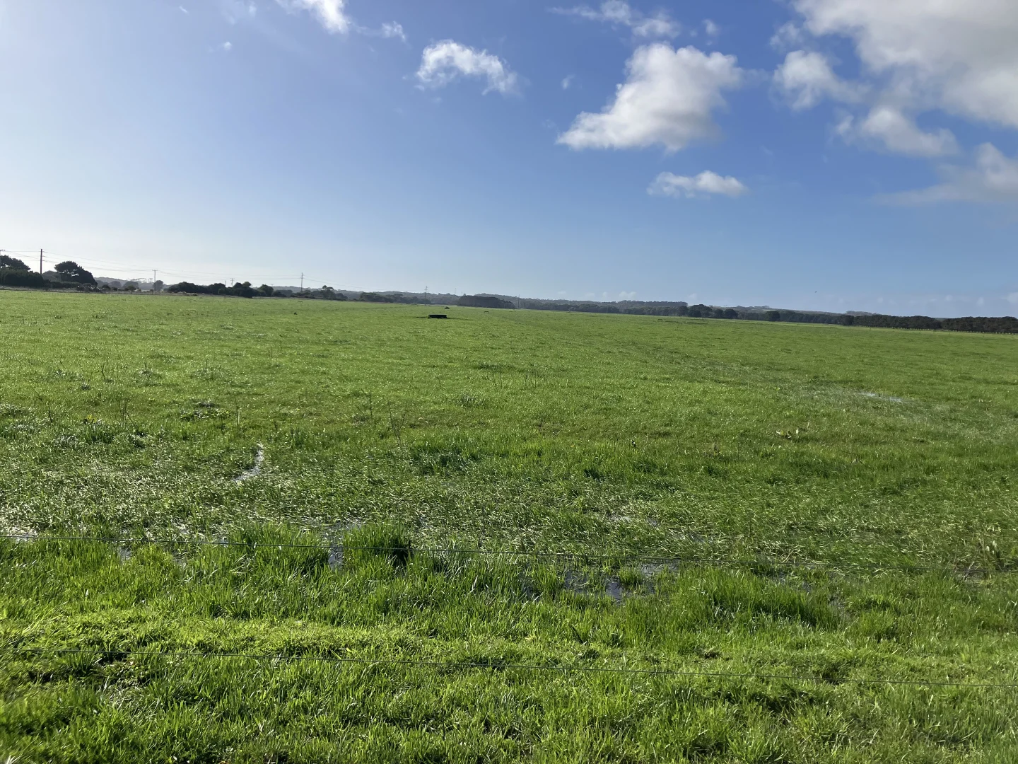 Additional image 10 of 301 Woolnorth Road, Woolnorth TAS 7330