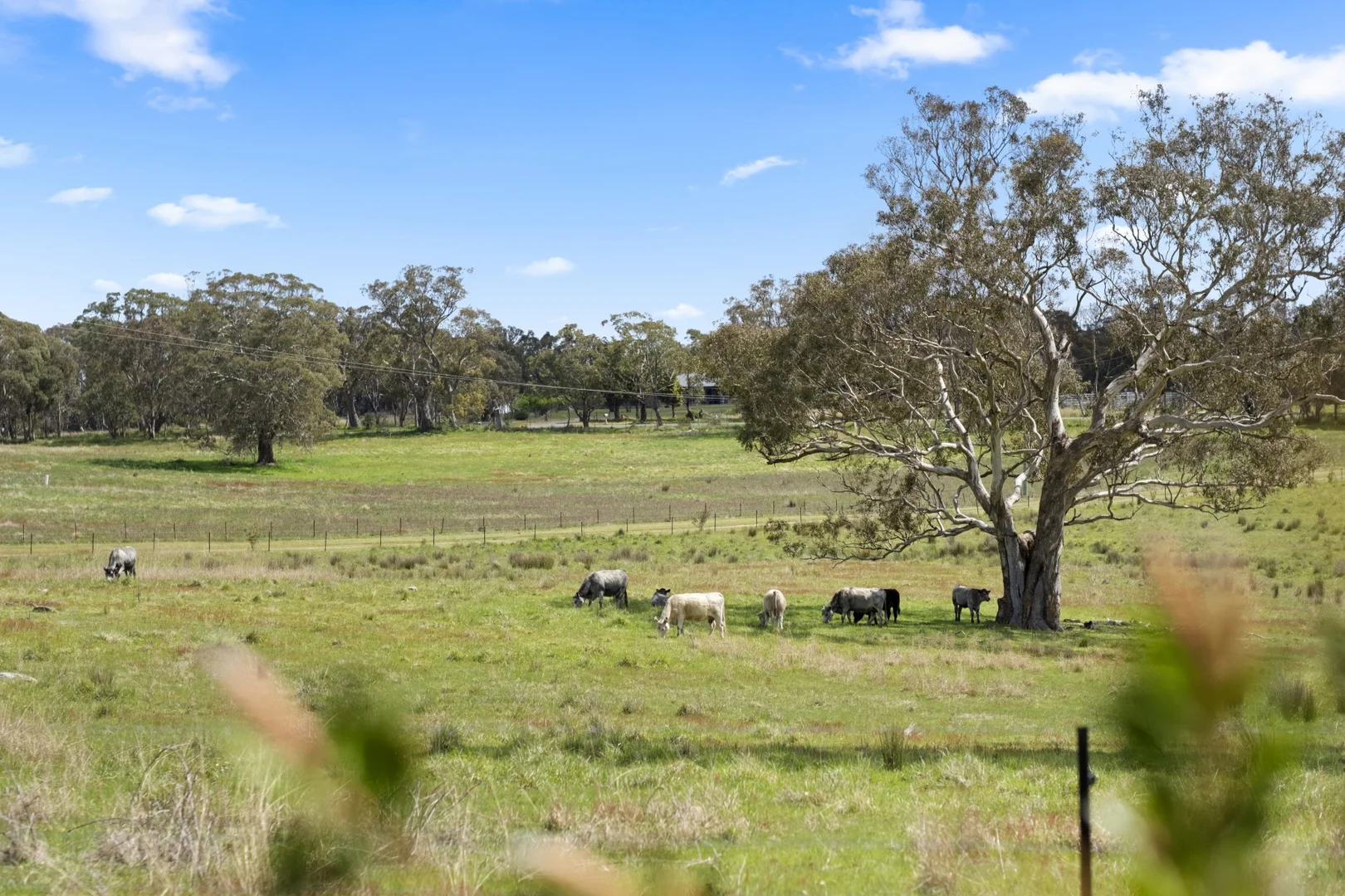 Additional image 19 of 1854 Range Road, Mummel NSW 2580
