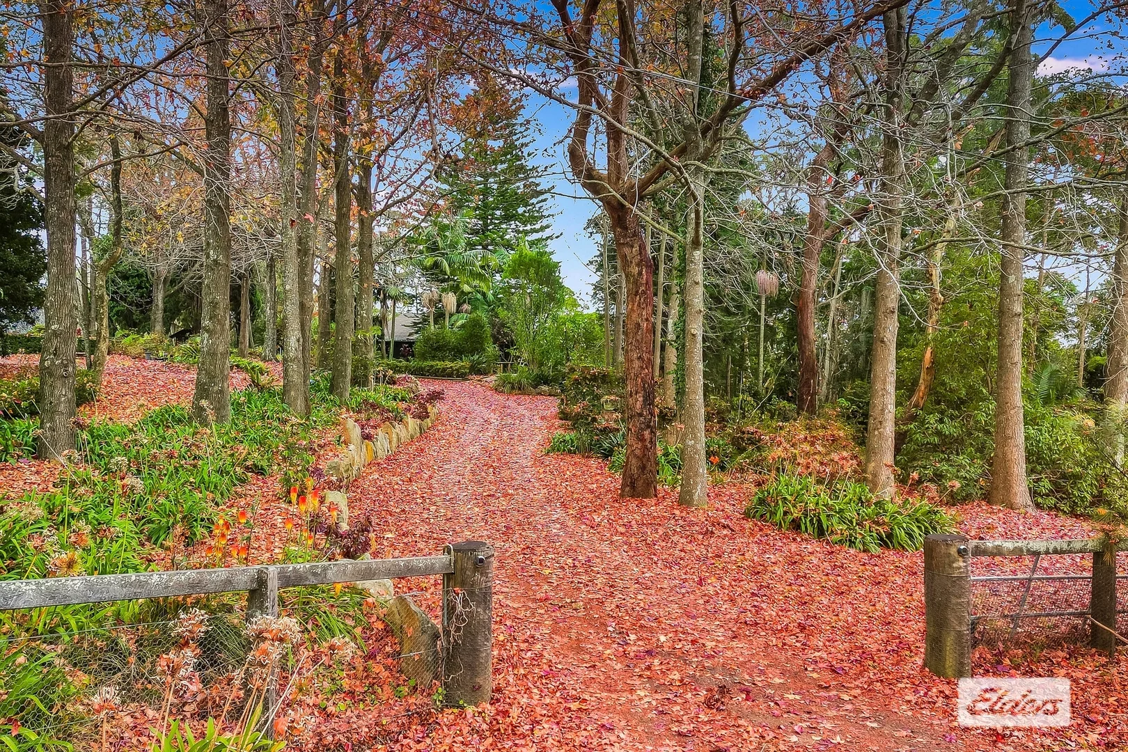 Additional image 2 of 234 Forest Road, Kulnura NSW 2250