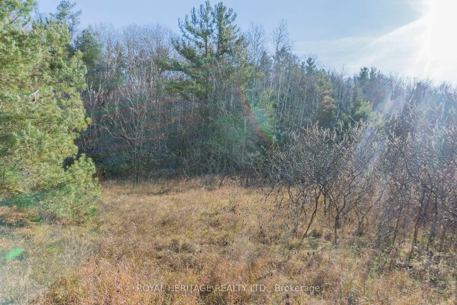 Additional image 16 of 0 County 25 Road