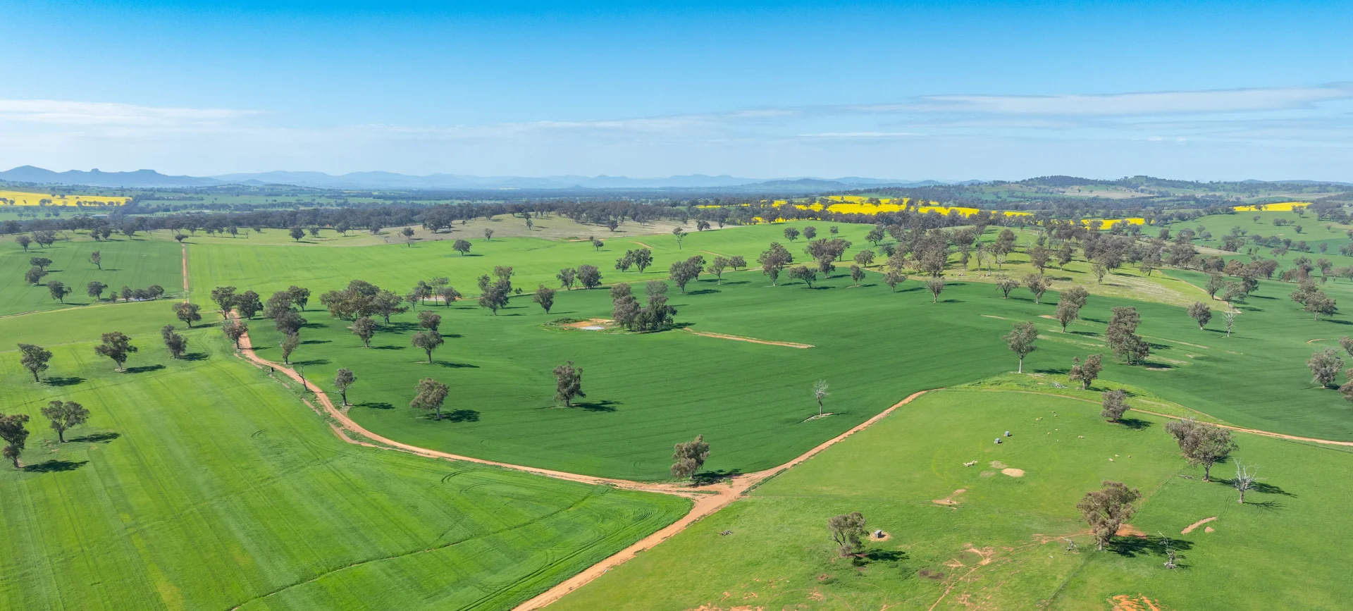 Additional image 34 of 1726 Howlong Burrumbuttock Road, Burrumbuttock NSW 2642