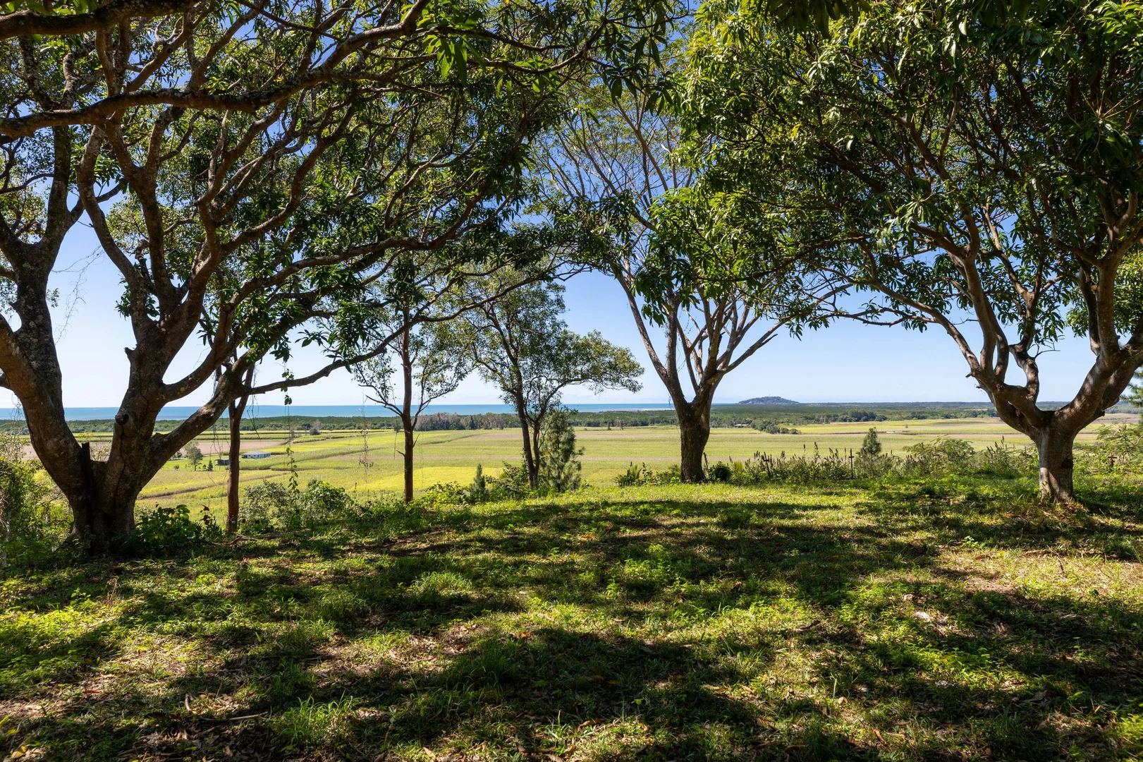 Additional image 25 of 93 Santarossa Road, Cooya Beach QLD 4873
