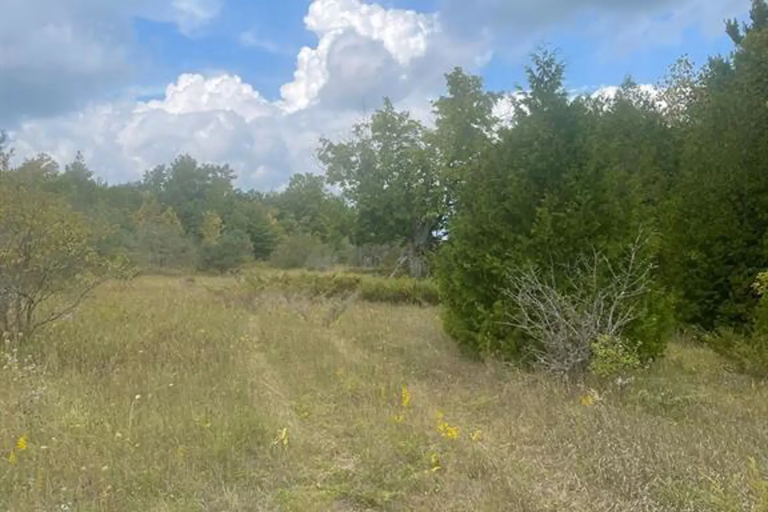 Additional image 9 of 00 Adams-Cummings Road