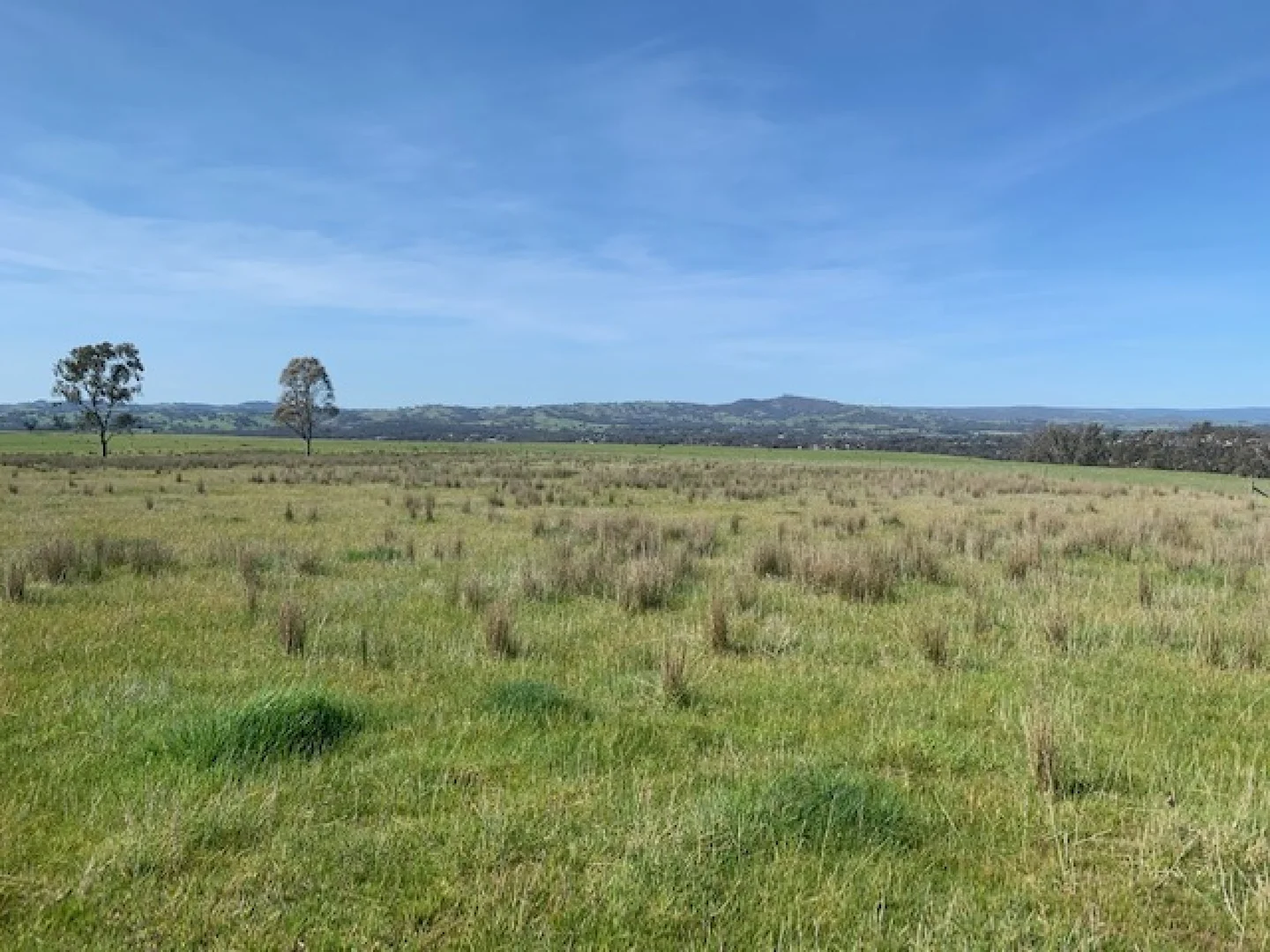 Additional image 5 of 105 Broadford Glenaroua Road, Broadford VIC 3658