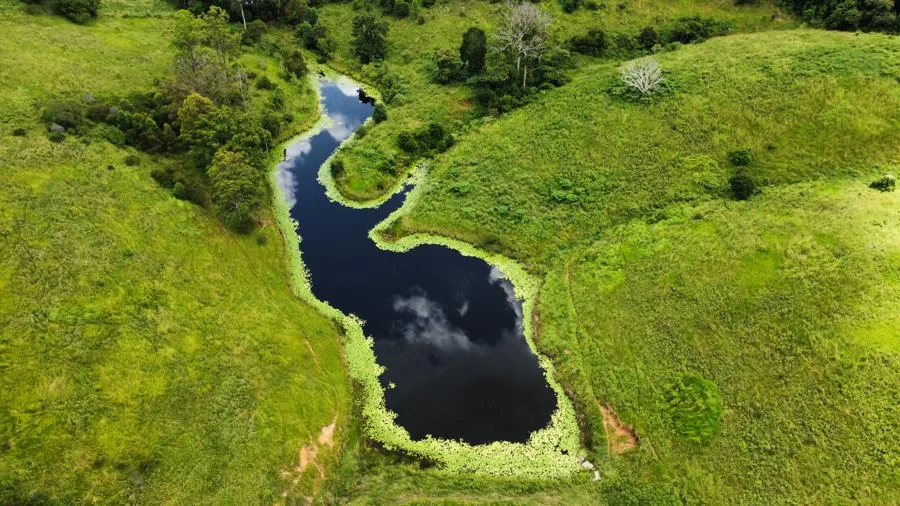 Additional image 2 of 113 Antimony Road, Neerdie QLD 4570