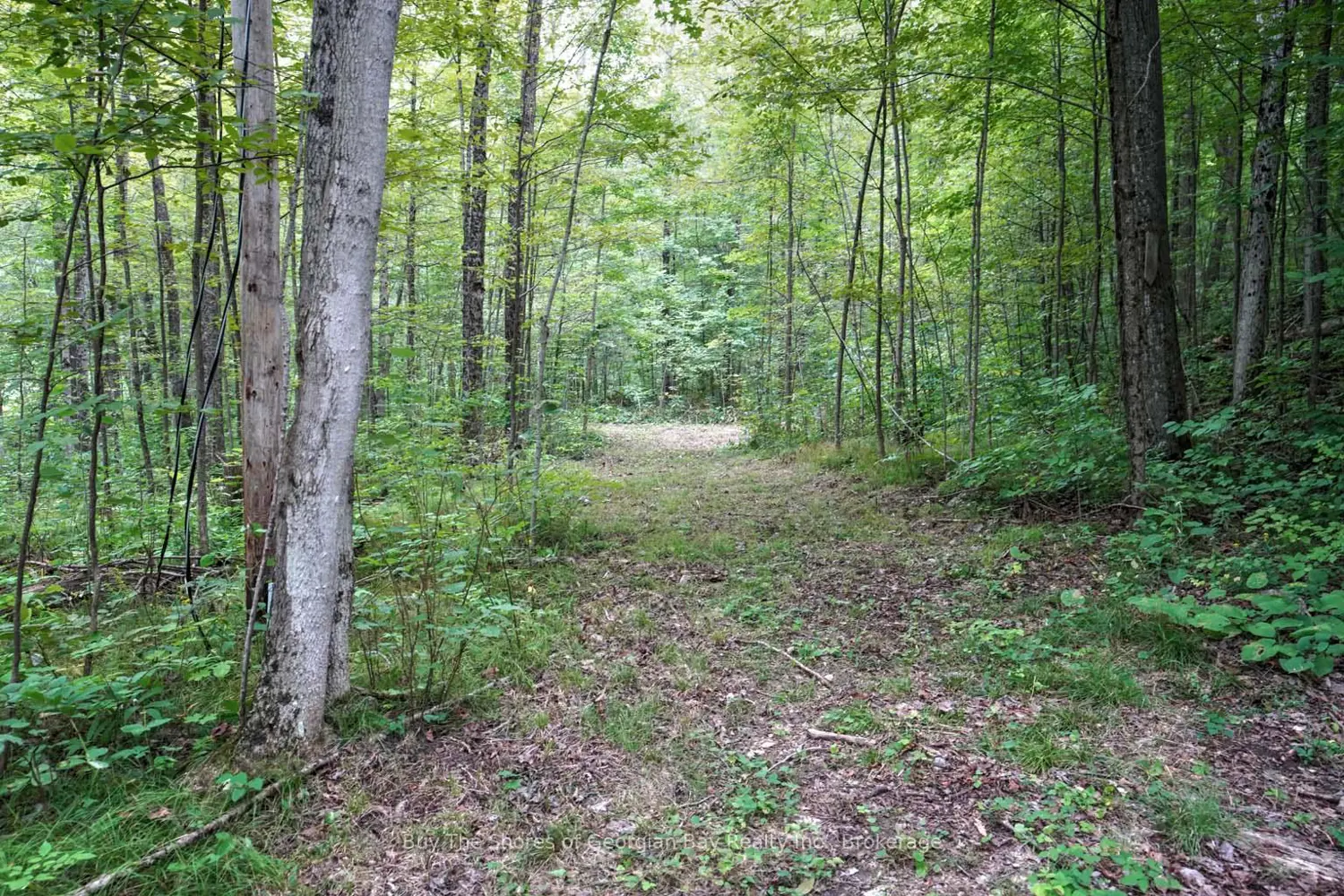1088 Ashgrove Trail 44 photo 5