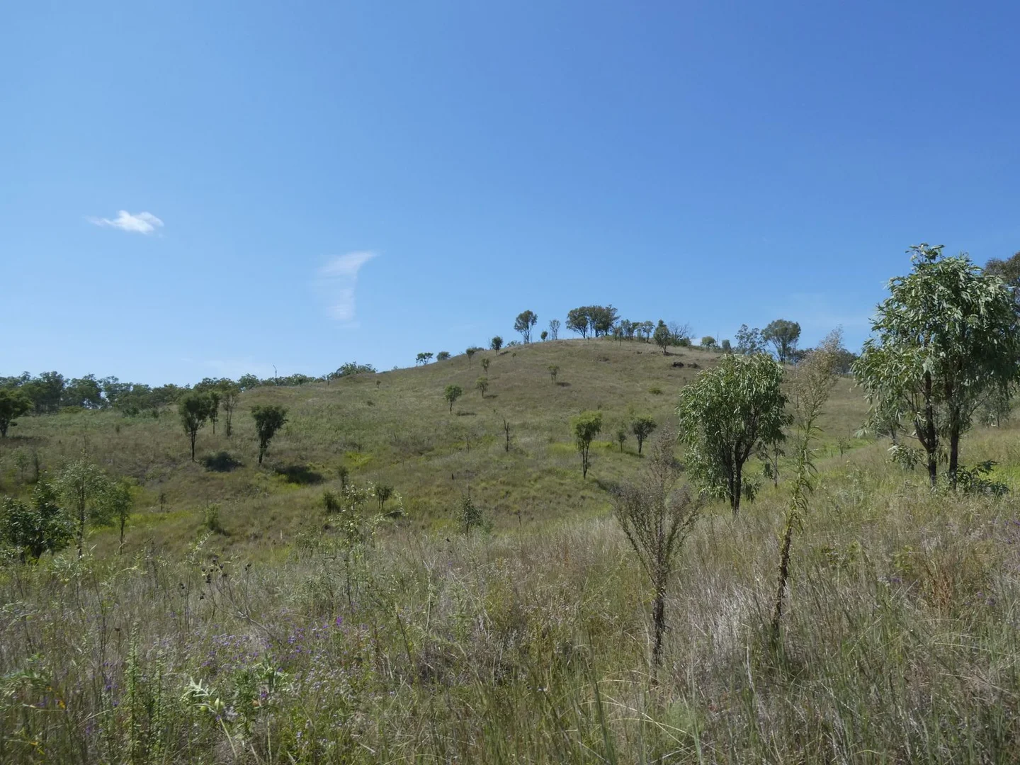 Additional image 5 of Lot 14 Monto Mount Perry Road, Mungy QLD 4671