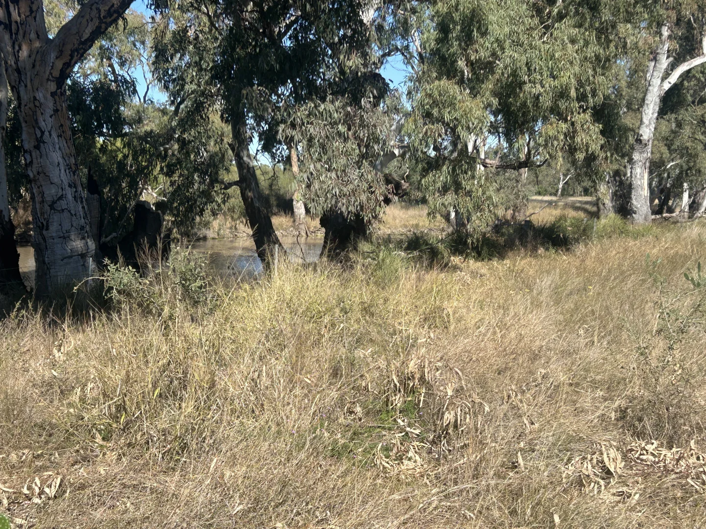 Additional image 28 of 4921 Meandarra Condamine Road, Meandarra QLD 4422