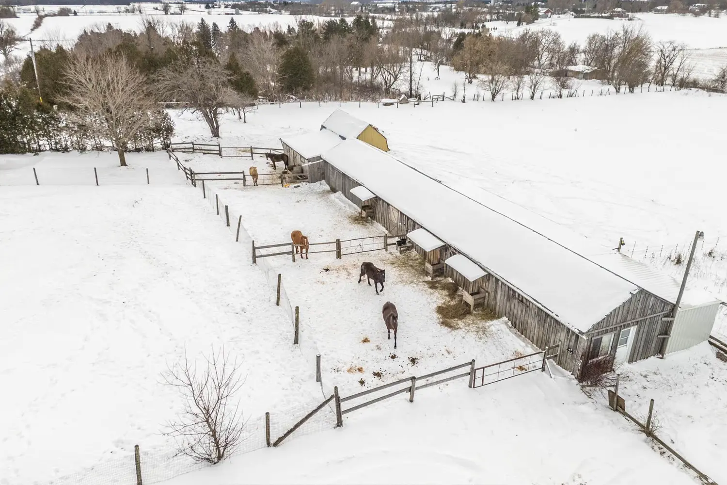 Additional image 5 of 21237 Concession 6 Road