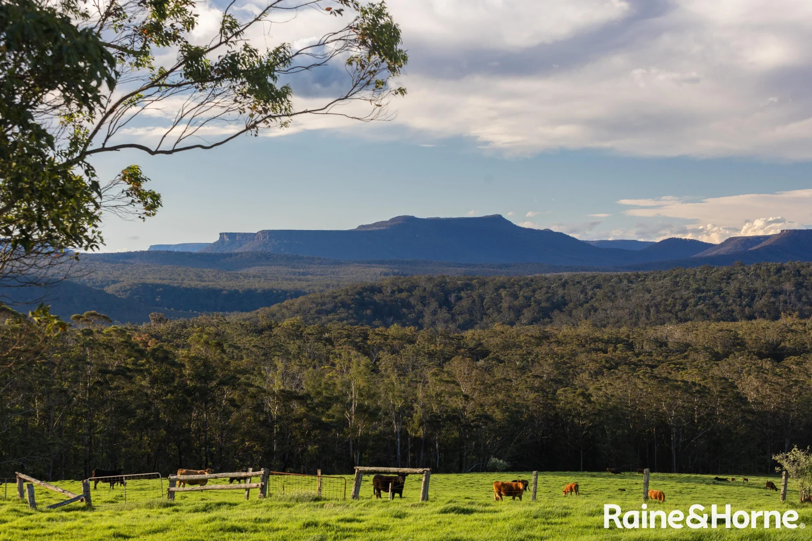 Additional image 13 of Lots 1-4, 265-266 Mimosa Park Road (via Milton), Morton NSW 2538