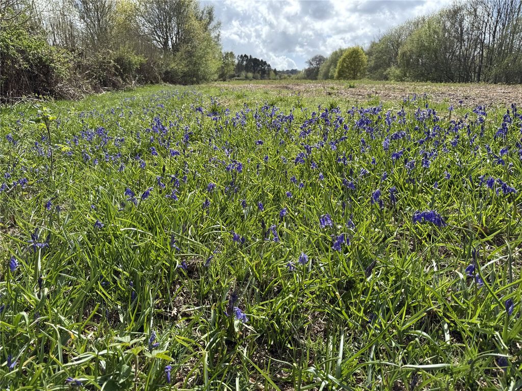 Additional image 3 of Land for saleSwing Gate Hill, Burwash Common, Etchingham, East Sussex TN19