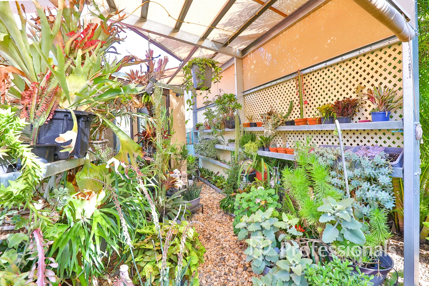 Additional image 23 of 5 Vineleaf Street, Mildura VIC 3500