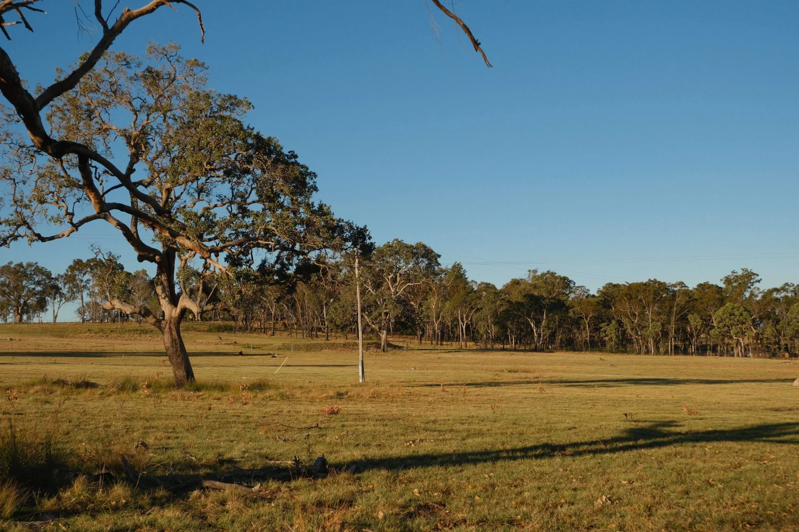 Additional image 9 of Tenterfield NSW 2372