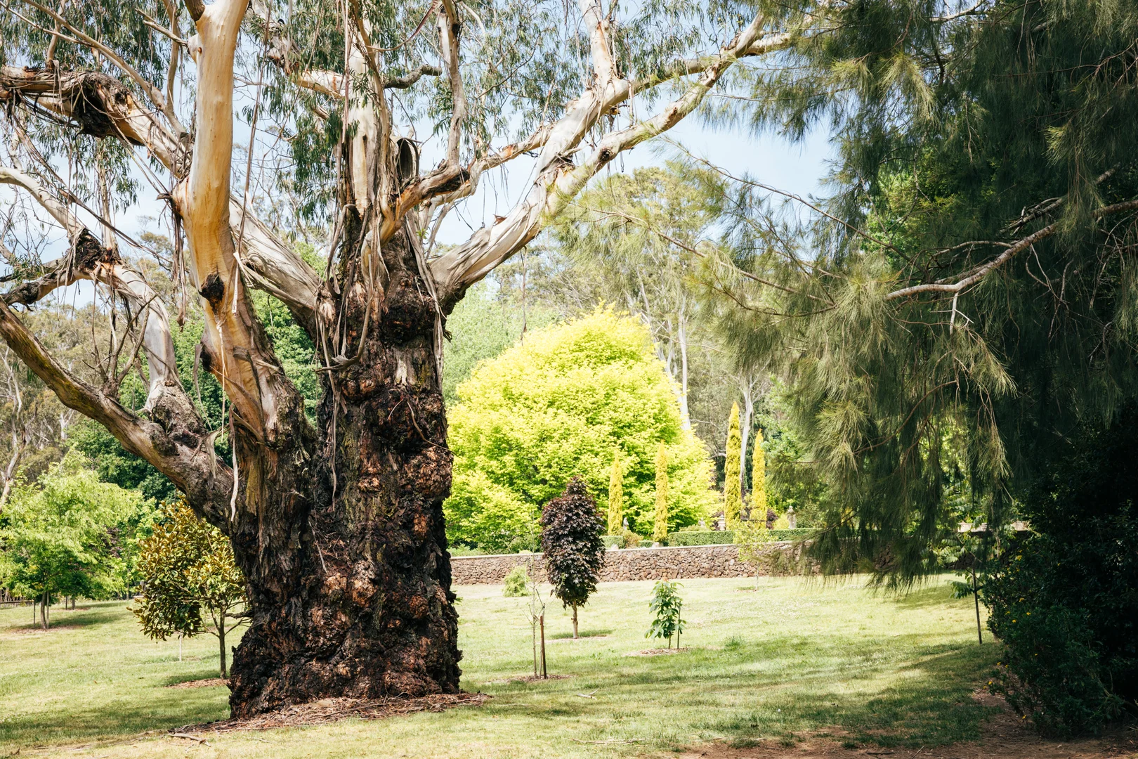 Additional image 24 of 1171 Old South Road, Bowral NSW 2576